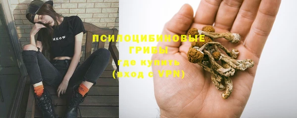 кристаллы Богданович