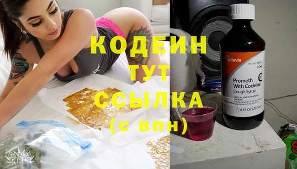 шишки Богородицк
