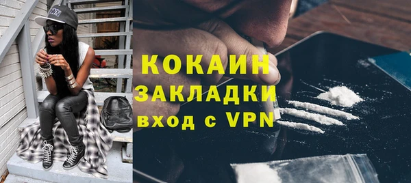 шишки Богородицк