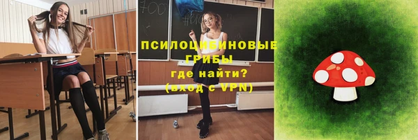 шишки Богородицк