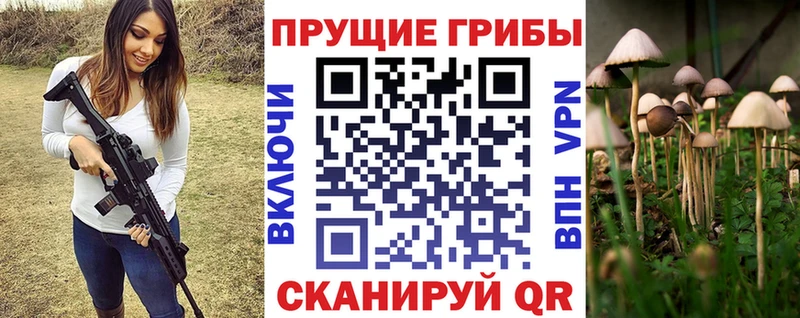наркотики  Верхняя Пышма  Псилоцибиновые грибы GOLDEN TEACHER 