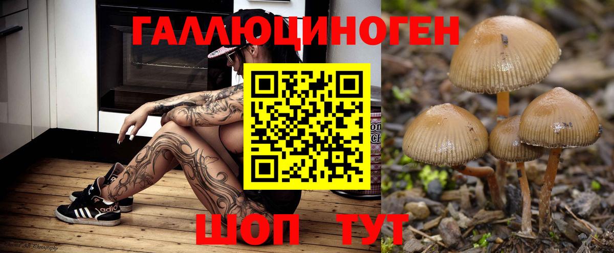 Галлюциногенные грибы мицелий Верхняя Пышма